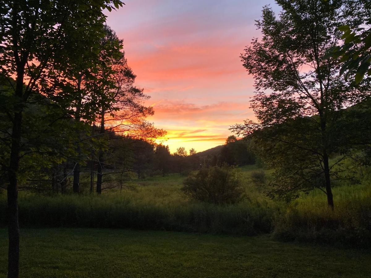 Maples Retreat - 2 Acres - Fireplace Ellicottville Εξωτερικό φωτογραφία